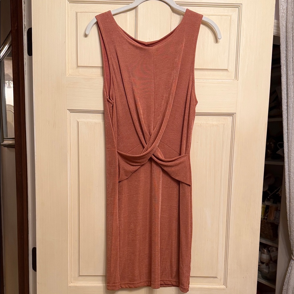 Minkpink Dusty Rose Dress